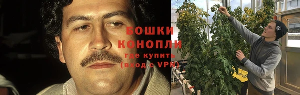 амф Новозыбков