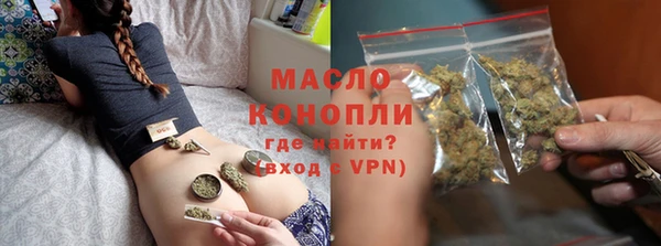 амф Новозыбков