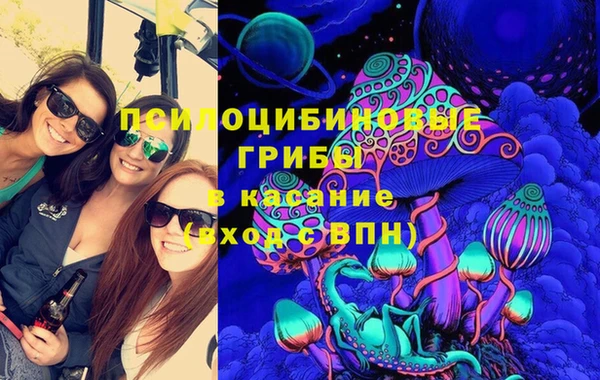 амф Новозыбков