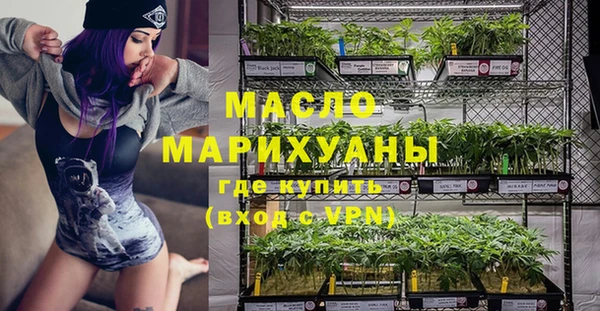 амф Новозыбков