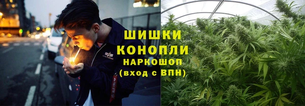 амф Новозыбков