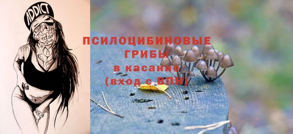 мяу мяу кристалл Новодвинск