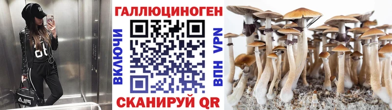 Псилоцибиновые грибы прущие грибы  купить   Коломна 