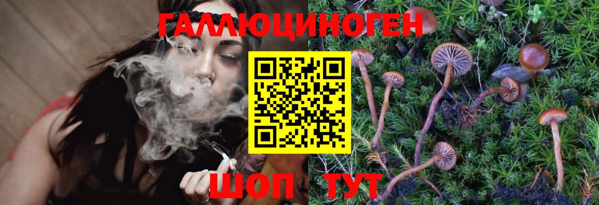 Коломна  сколько стоит  Вход с VPN  Галлюциногенные грибы GOLDEN TEACHER 