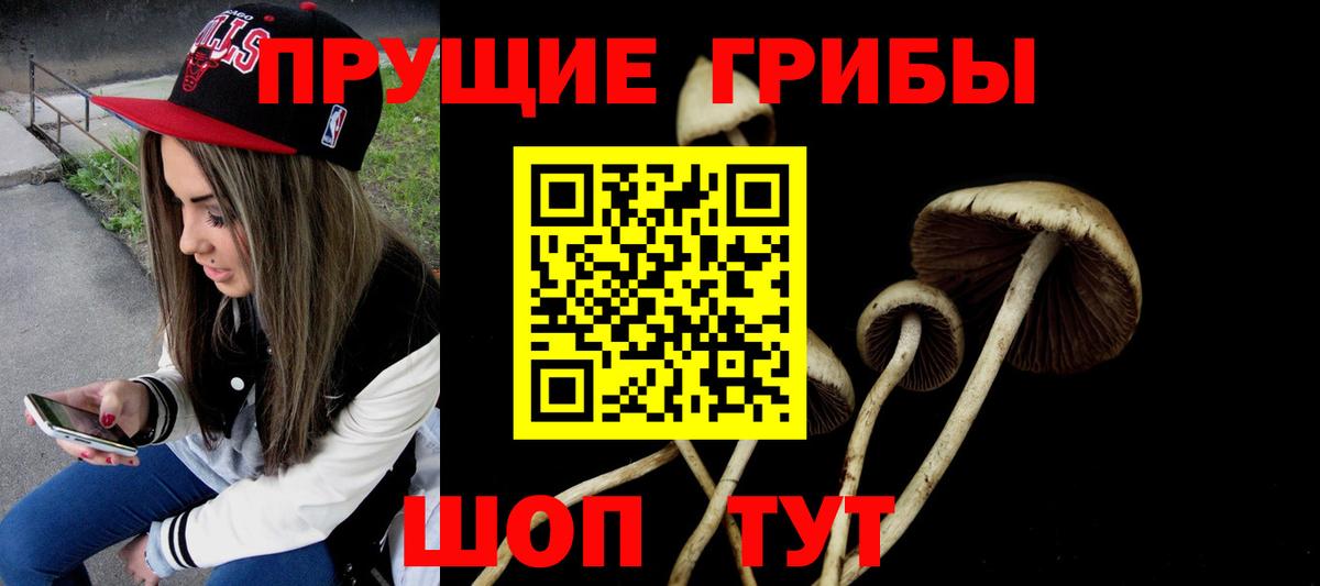 Псилоцибиновые грибы MAGIC MUSHROOMS  Галлюциногенные грибы мухоморы  Коломна 