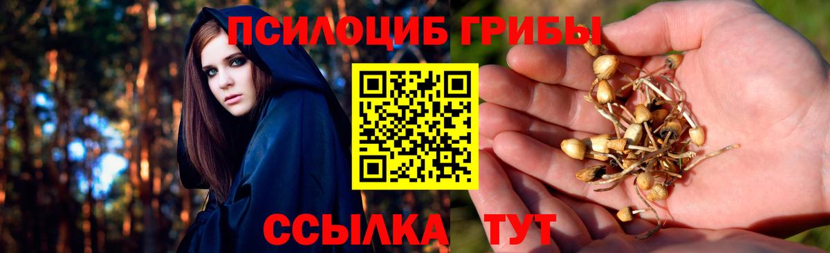 Псилоцибиновые грибы GOLDEN TEACHER Коломна